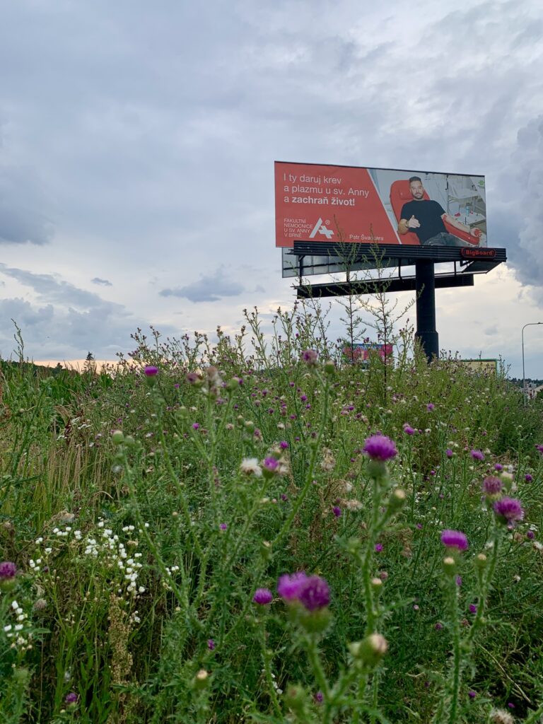 Billboardy zvou k darování krve ve FNUSA. Letos už popáté
