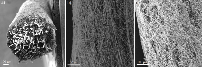 Nová dentální nanonit dostane probiotika do míst, kde vzniká parodontitida. „Myslíme, že má velký potenciál,“ říkají vědci