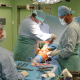 Ortopedové ve FNUSA denně implantují až osm endoprotéz